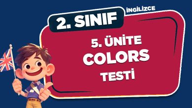 2. SINIF İNGİLİZCE 5.ÜNİTE COLORS