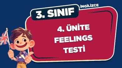 3. SINIF İNGİLİZCE FEELINGS