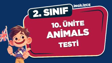 2. SINIF İNGİLİZCE 10.ÜNİTE ANİMALS TESTİ