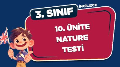 10. ÜNİTE NATURE TESTİ