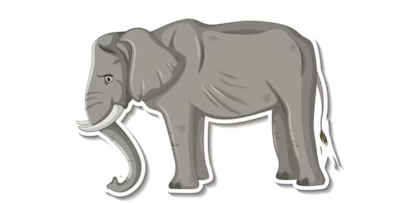 elephant