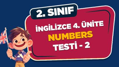 NUMBERS TESTİ