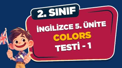 İNGİLİZCE 5. ÜNİTE COLORS TESTİ-1