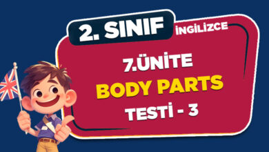 7. ÜNİTE BODY PARTS