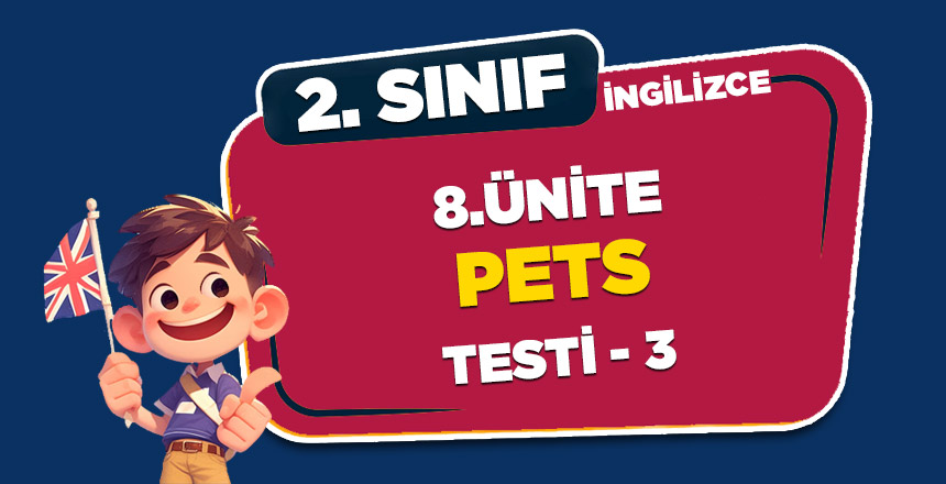 2. SINIF İNGİLİZCE 8.ÜNİTE PETS TESTİ – 2