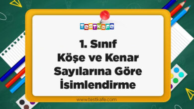 1. Sınıf Köşe ve Kenar Sayılarına Göre İsimlendirme