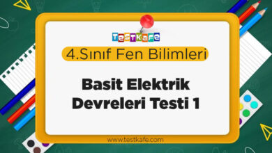 Basit Elektrik Devreleri Testi 1
