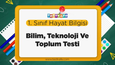 Bilim, Teknoloji Ve Toplum Testi