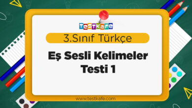 Eş Sesli Kelimeler Testi 1