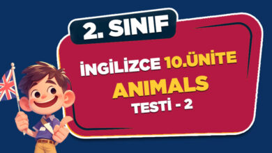 İNGİLİZCE 10.ÜNİTE ANİMALS TESTİ 2