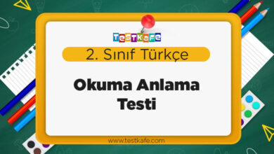 Okuma Anlama Testi