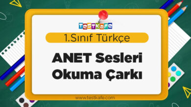 ANET Sesleri Okuma Çarkı