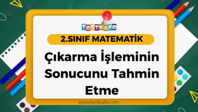 Çıkarma İşleminin Sonucunu Tahmin Etme