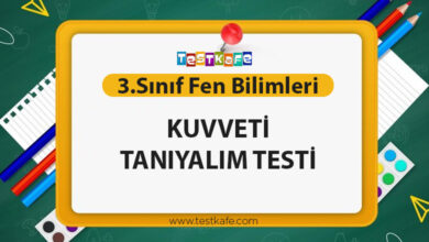 KUVVETİ TANIYALIM TESTİ