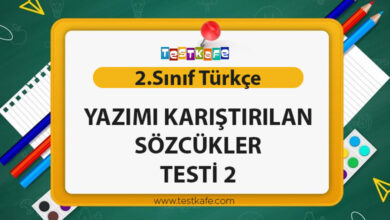 YAZIMI KARIŞTIRILAN SÖZCÜKLER TESTİ 2