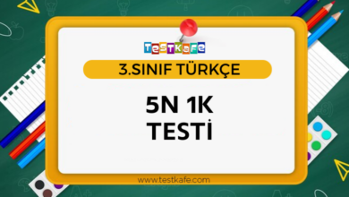 5N 1K TESTİ