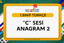 C SESİ ANAGRAM 2
