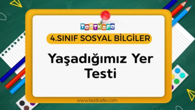 Yaşadığımız Yer Testi