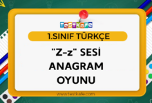 z sesi