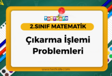 Çıkarma İşlemi Problemleri