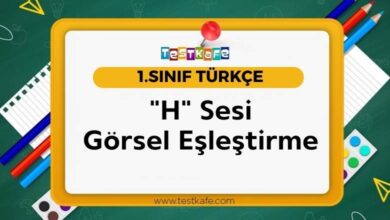 H Sesi Görsel Eşleştirme