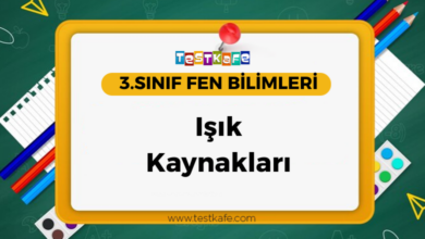 Işık Kaynakları