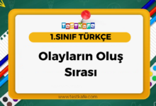Olayların Oluş Sırası