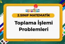 Toplama İşlemi Problemleri