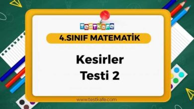 Kesirler Testi 2