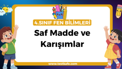 Saf Madde ve Karışımlar