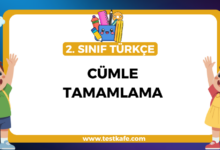 CÜMLE TAMAMLAMA