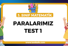 PARALARIMIZ