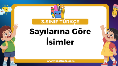 Sayılarına Göre İsimler