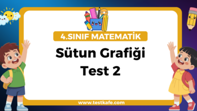 Sütun Grafiği Test 2