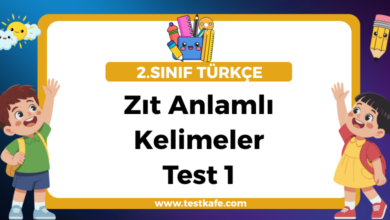 Zıt Anlamlı Kelimeler Test 1