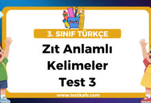 Zıt Anlamlı Kelimeler Test 3