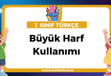 Büyük Harf Kullanımı