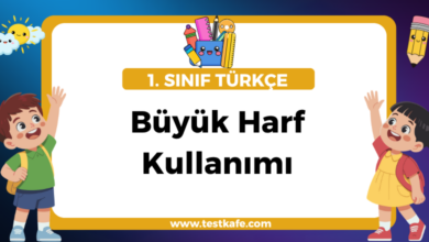 Büyük Harf Kullanımı