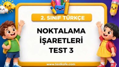 NOKTALAMA İŞARETLERİ TEST 3