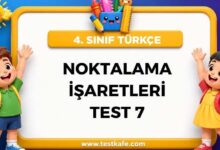 NOKTALAMA İŞARETLERİ TEST 7