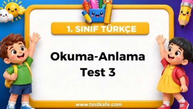 Okuma-Anlama Test 3